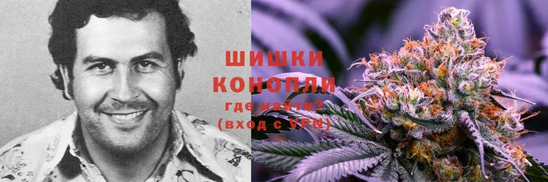 мега зеркало  что такое наркотик  Козьмодемьянск  Канабис White Widow 